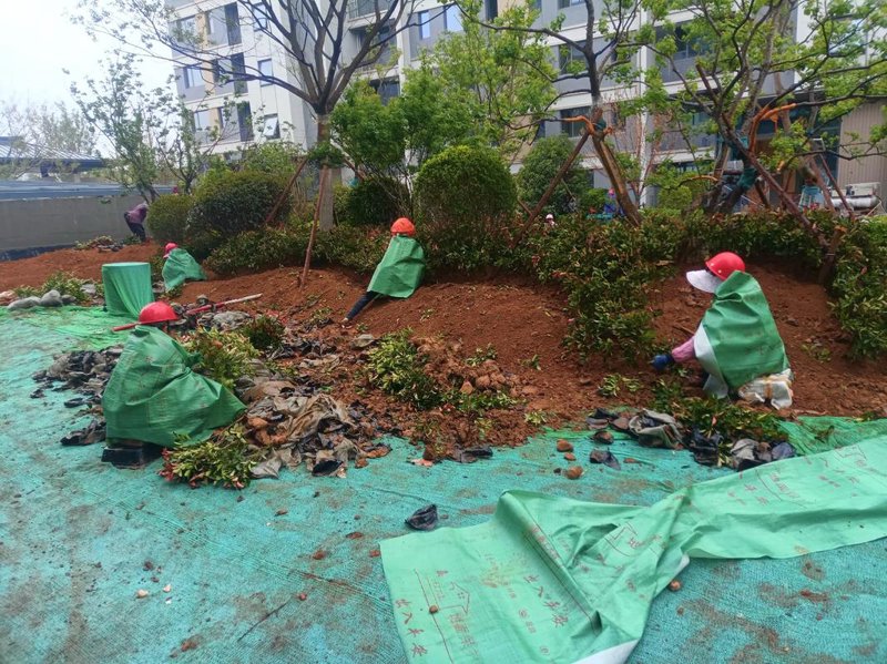 打造优雅园林：假山喷泉制作选购指南