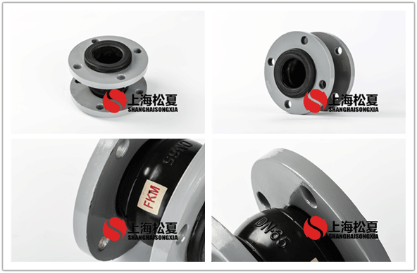 FKM-DN65-1.0Mpa氟橡胶接头-化工专用